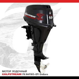 F9.9AFWS-EFI enduro