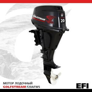 GOLFSTREAM F20AFWS EFI