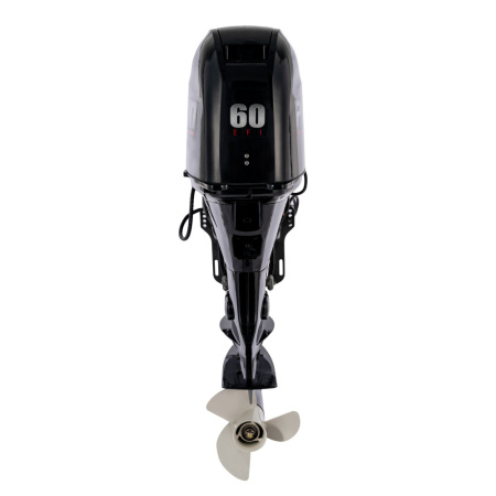 F60 EFI (3)