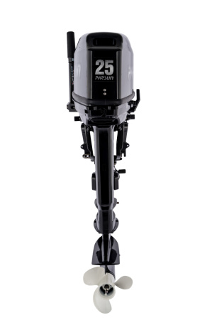 T25