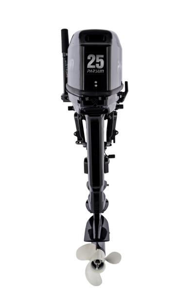 T25